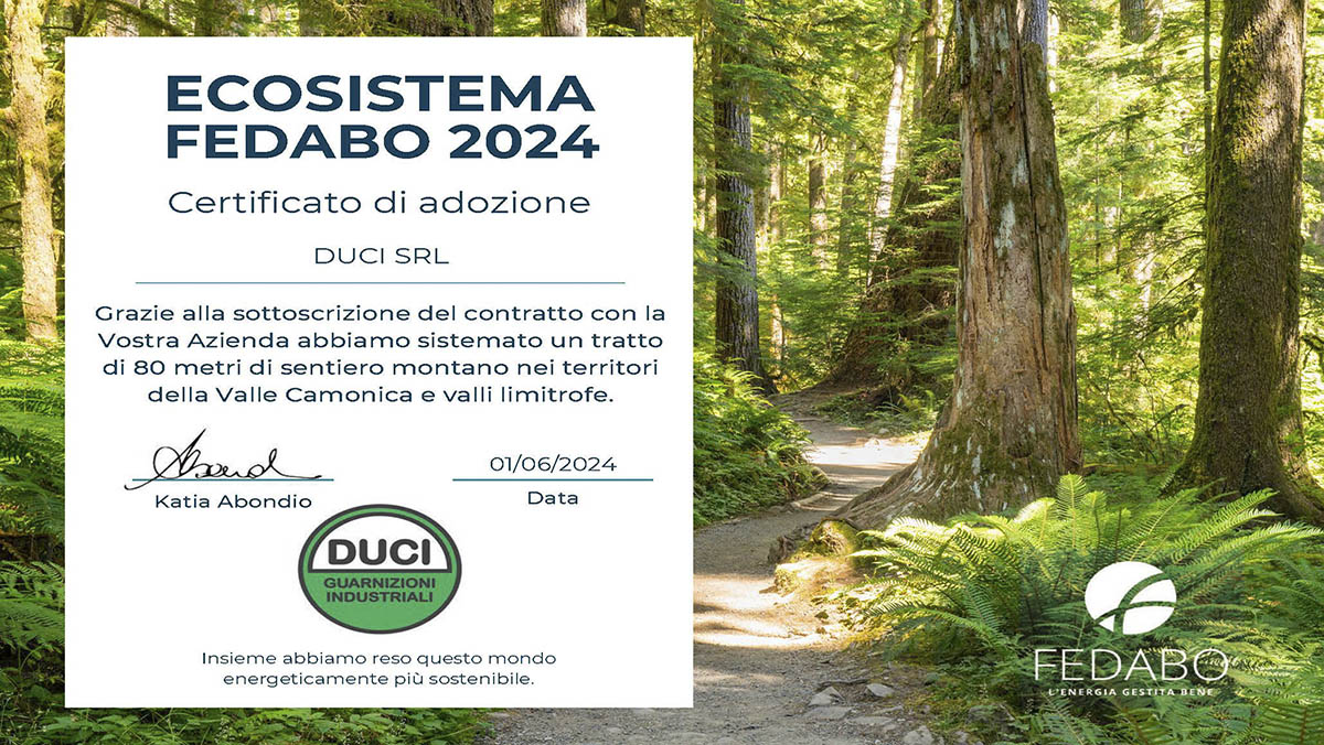 Ecosistema Fedabo 2024 – DUCI